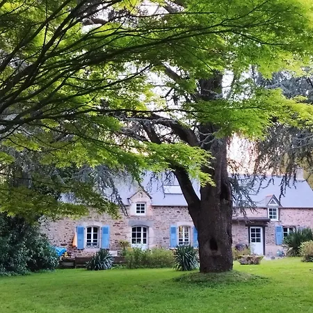 La D'anna *
